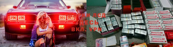 прущая мука Арсеньев