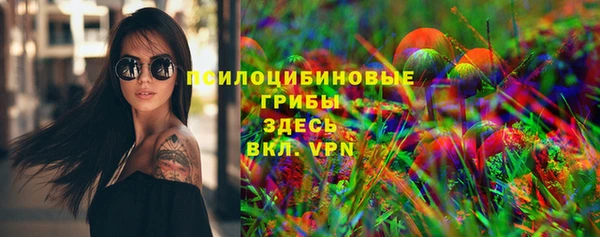 прущая мука Арсеньев