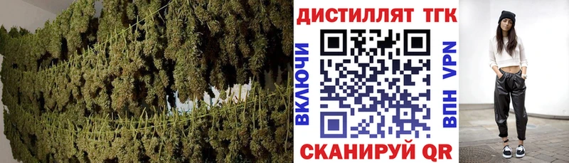 цены   Чудово  Дистиллят ТГК жижа 