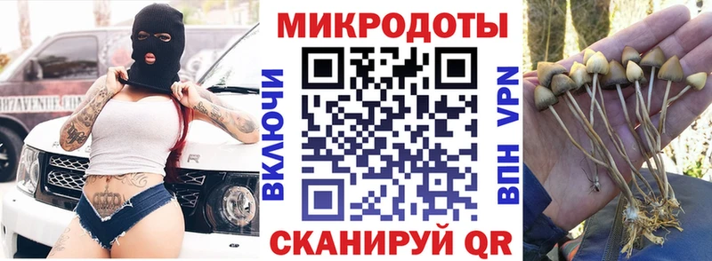 купить  цена  Чудово  MEGA как войти  Галлюциногенные грибы MAGIC MUSHROOMS 
